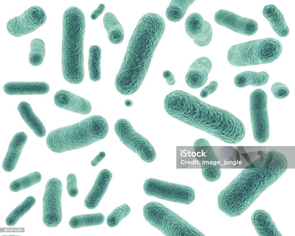 Bacterial cells isolated on white background 3D rendering. Bacterial cells isolated on white background. Bacterium Stock Photo