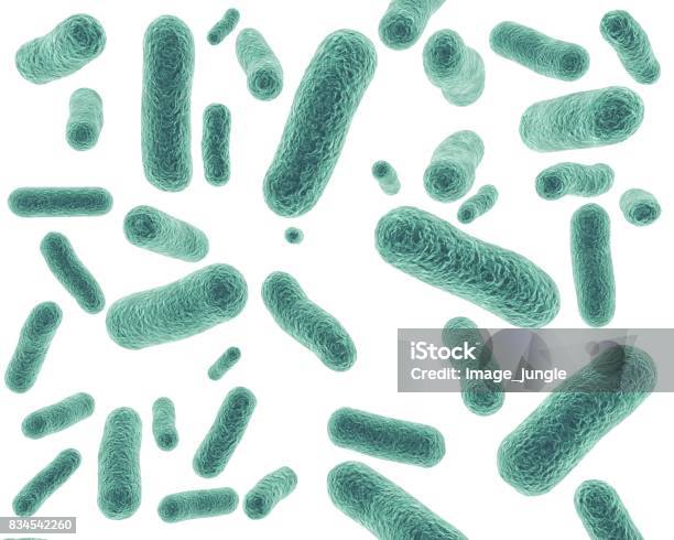 Bacterial Cells Isolated On White Background 3d Rendering Stock Photo - Download Image Now