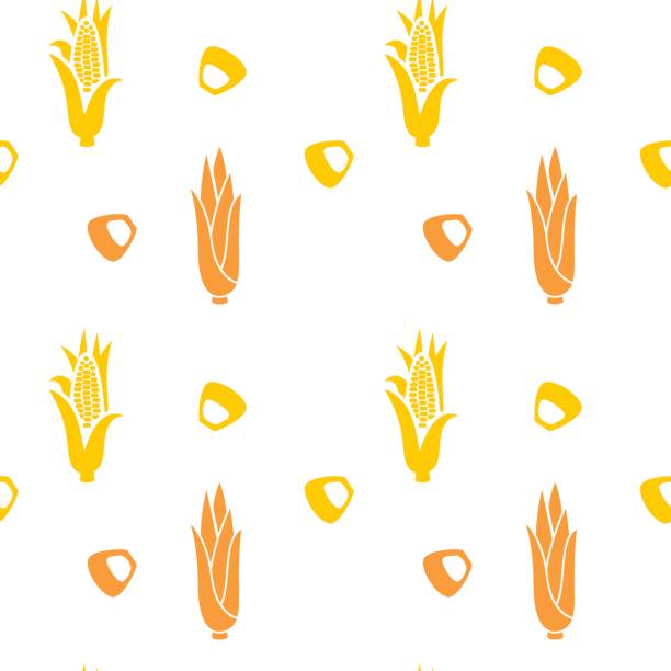 ilustraciones, imágenes clip art, dibujos animados e iconos de stock de mano de mazorca de maíz dibujado patrones sin fisuras. vegetales aisladas había grabado papel pintado de estilo. - corn corn crop corn on the cob food