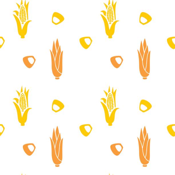 ilustrações, clipart, desenhos animados e ícones de mão de espiga de milho desenhado sem costura padrão. isolado vegetal gravado papel de parede. - corn corn crop corn on the cob food