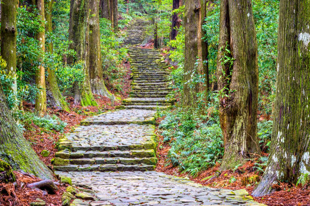 Kumano Kodo The Kumano Kodo trail, a sacred trail in Nachi, Wakayama, Japan. mie prefecture photos stock pictures, royalty-free photos & images
