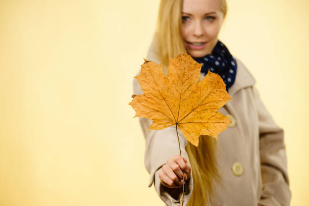 istock Woman holding orange autumn leaf 834552956