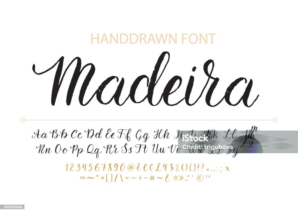 Handgezeichneten Vektor Schreibschrift.  Pinselstil texturiert Kalligraphie kursive typefac - Lizenzfrei Handschrift Vektorgrafik