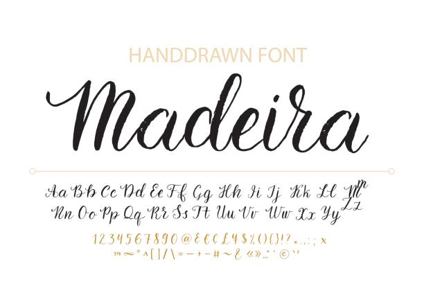 ilustrações de stock, clip art, desenhos animados e ícones de handdrawn vector script font.  brush style textured calligraphy cursive typefac - escrita não europeia