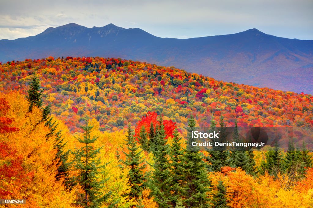 Automne dans les White Mountains du New Hampshire - Photo de New Hampshire libre de droits