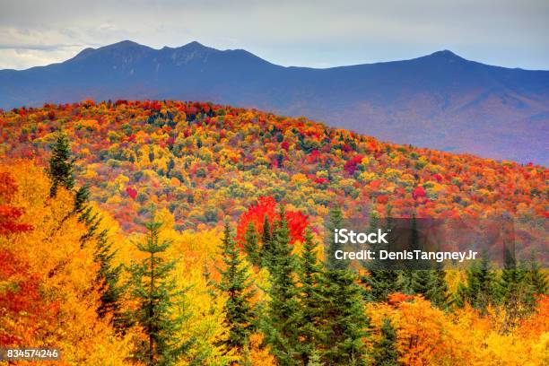 Photo libre de droit de Automne Dans Les White Mountains Du New Hampshire banque d'images et plus d'images libres de droit de New Hampshire - New Hampshire, Feuillage automnal, Feuille