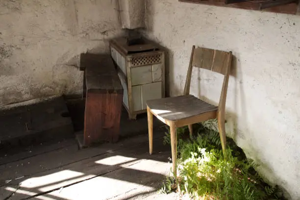 An abandoned kitchen that is slowly conquered by nature.
