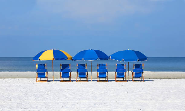 istock Six beach chairs with umbrellas facing the water's edge 834588540