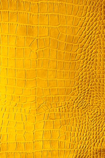 istock Gold yellow color texture pattern abstract background can be use as wall paper screen saver brochure cover page or for presentations background or articles background also have copy space for text. 834613048