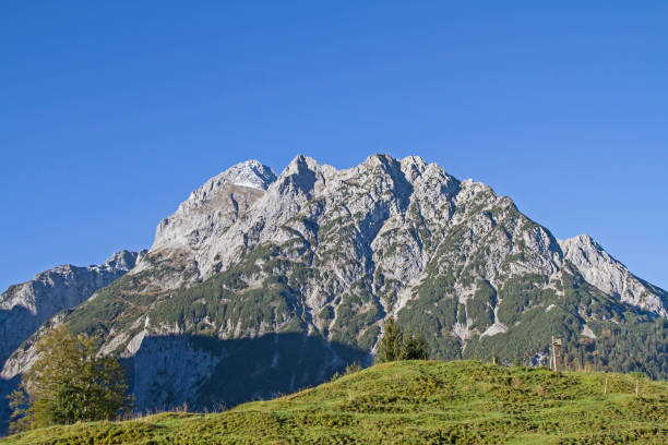 istock falcon mountains in Tyrol 834615766