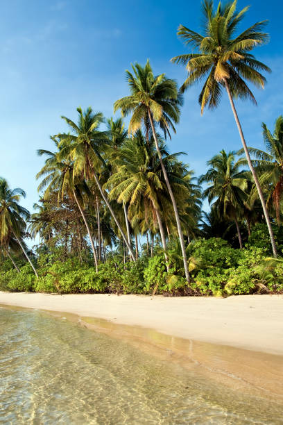 istock Ko Mak Island in Thailand 834630602