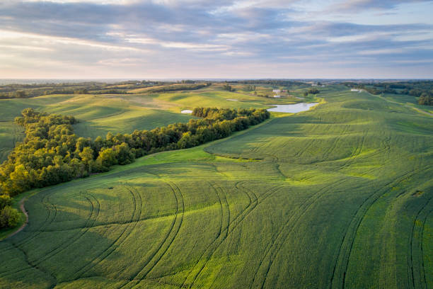 green soybean fields in Missouri aerial view aerial view of green soybean fields s in a valley of the Missouri River, near Glasgow, MO, late summer missouri stock pictures, royalty-free photos & images