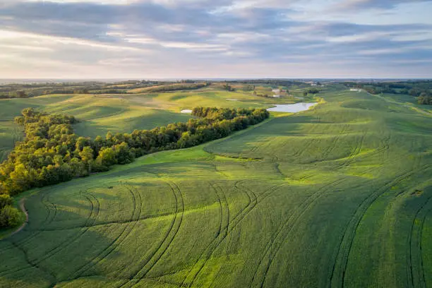 aerial view of green soybean fields s in a valley of the Missouri River, near Glasgow, MO, late summer