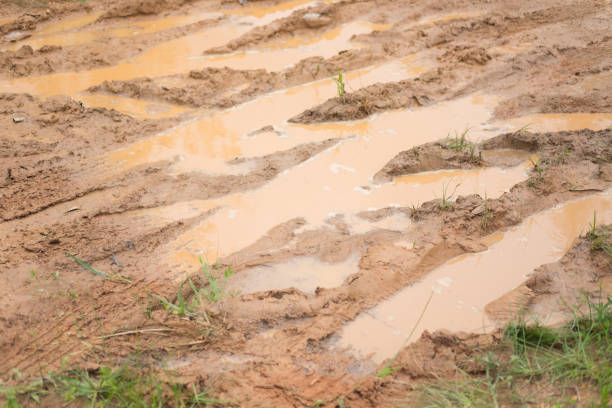 istock Close up dirty and muddy road texture 834638646