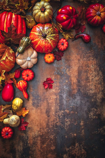 istock Autumn Decoration Background with Pumpkins, Leafs and Nuts 834639496
