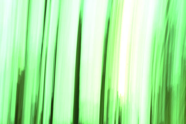 istock blurred background with green and white color 834640004