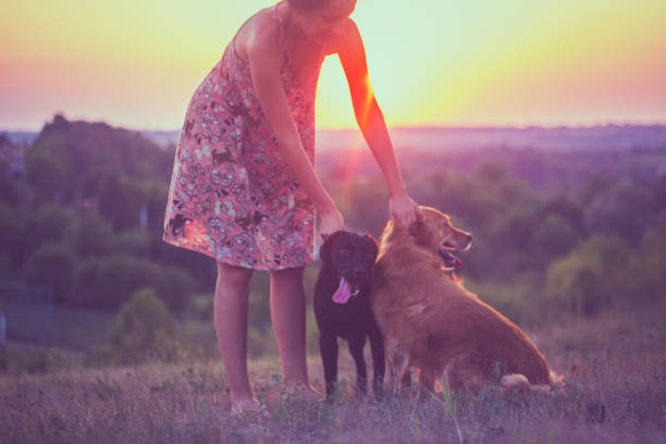 Dog, Exercising, Pets, Running, Jogging, Golden Retriever