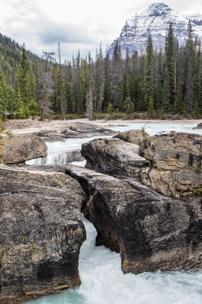 istock Canadian Rockies - Natural Bridge 834651030
