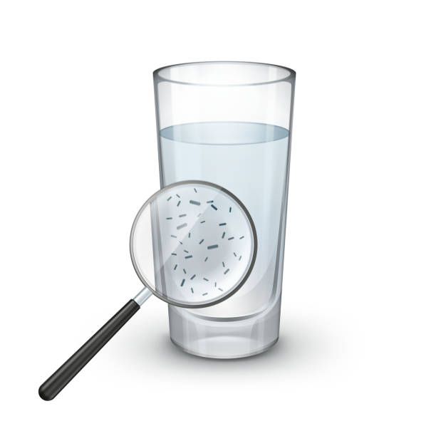 szklanka wody - bacterium virus magnifying glass green stock illustrations