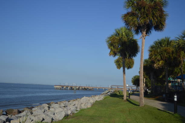St. Simons Island, GA Pier St. Simons Island, GA pier, palm trees along shore saint simons island photos stock pictures, royalty-free photos & images