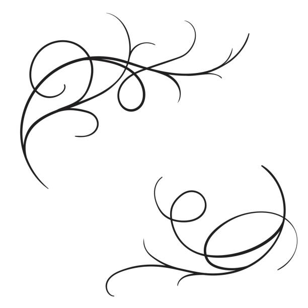 ilustrações, clipart, desenhos animados e ícones de floresce de mão desenhada vector vindima - flourishes tattoo scroll ornate