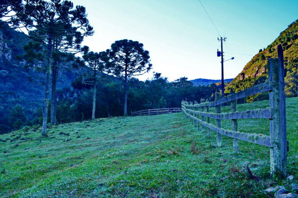 istock Santa Catarina landscapes 834688700
