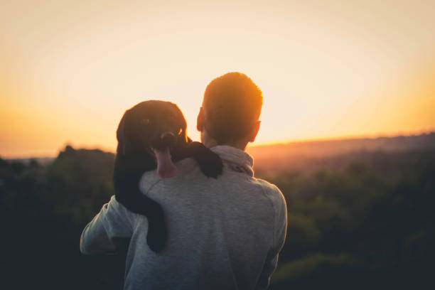 istock Rear view of a young man hug his dog 834704904