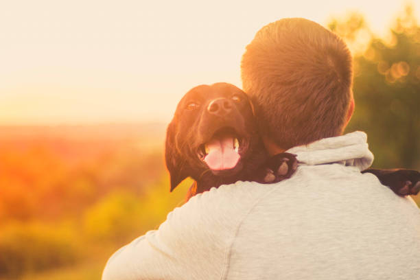 istock Rear view of a young man hug his dog 834705086