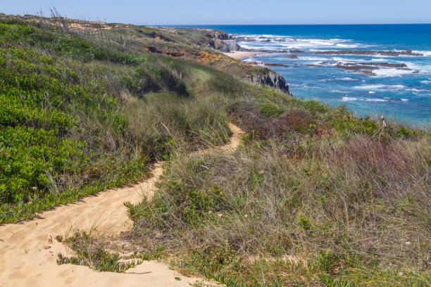 istock Beach and vegetation in Almograve 834714508