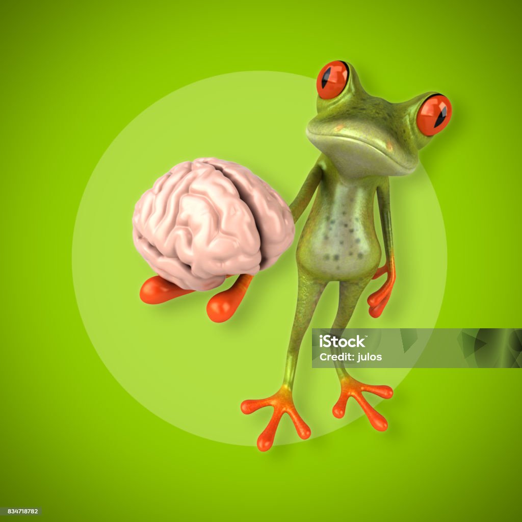 Fun frog Amphibian Stock Photo