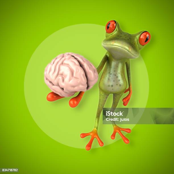 Fun Frog Stock Photo - Download Image Now - Amphibian, Animal, Animal Brain