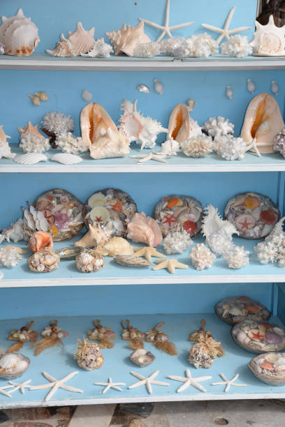 istock Souvenirs of the sea 834724350