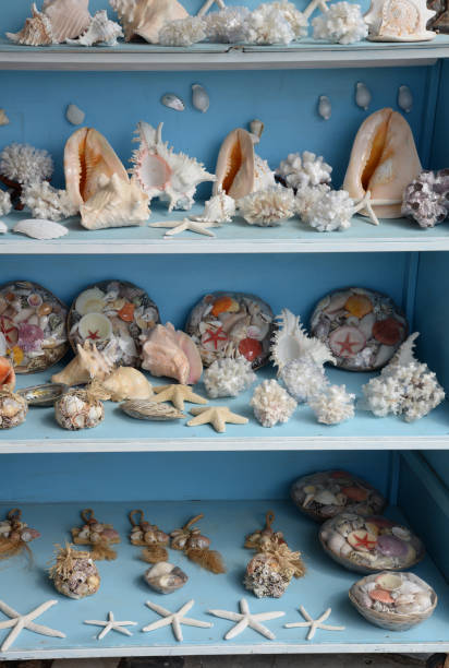istock Souvenirs of the sea 834724474