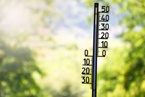 istock Outdoor thermometer showing 36 degrees Celsius on a hot sunny summer day with blurred trees in the background 834732772