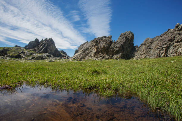 Mountain Altai sunny landscape with rocks and puddle. Russia. Summer nature