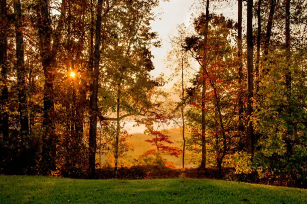 Photo of Overlooking the Nansemond River