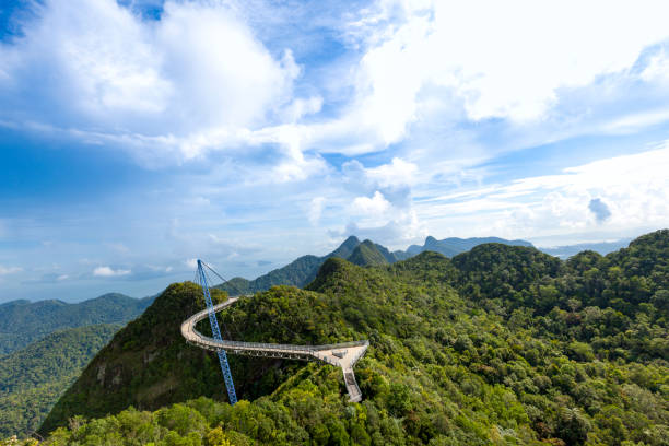 pont de ciel, l’île de langkawi, malaisie - tropical rainforest elevated walkway pulau langkawi malaysia photos et images de collection