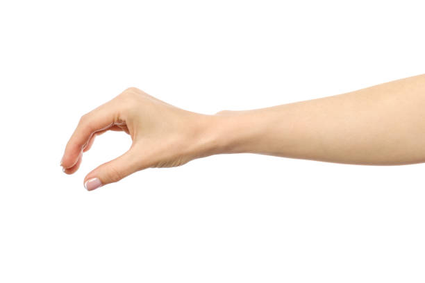 istock Woman's hand grabbing or measuring something isolated on white 834745956