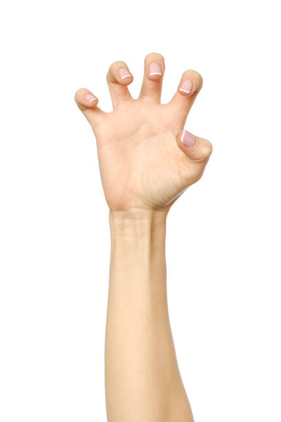 istock Female hand reaching for something isolated on white 834745964