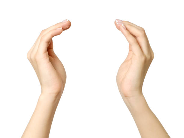 istock Female hands holding something isolated on white 834745980