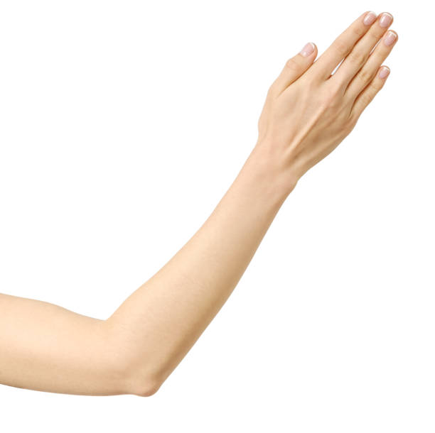 istock Stretched hand of woman isolated on white background 834745986