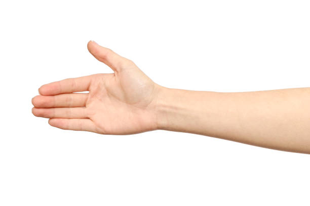 istock Woman's hand who is willing to make a deal isolated on white 834745988