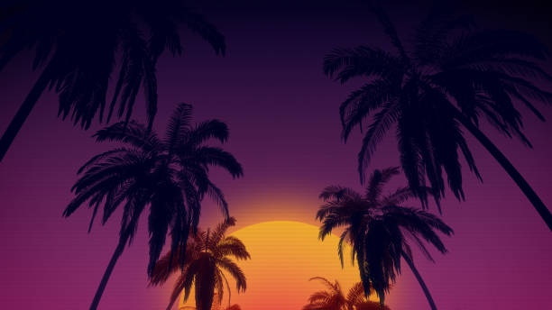 istock 80's retro style background with tropical coconut trees and sunset from 3d render 834746004