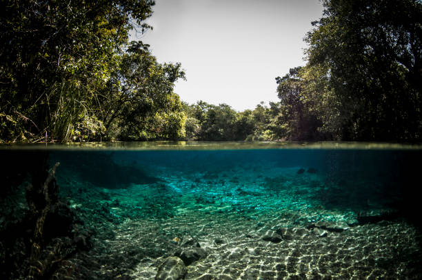 istock Bonito, Mato Grosso do Sul - Brazil 834752010
