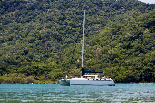 istock Catamaran Sailboat in Angra dos Reis Bay 834753792