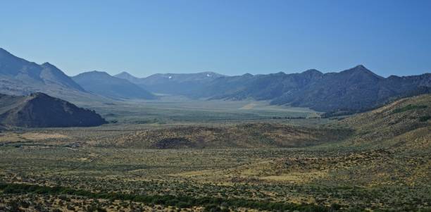 istock Humboldt-Toiyabe National Forest 834754974