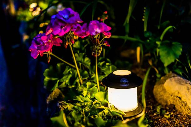 istock Illuminated lantern lamp at night by pink geranium pelargonium flowers in garden 834755954