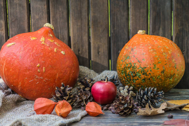 istock autumn concept with pumpkins 834757508