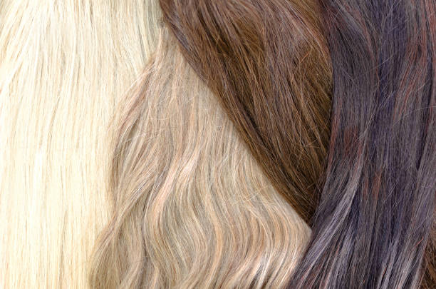 istock hair background or wallpaper 834760304