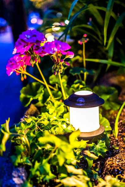 istock Illuminated lantern lamp at night by pink geranium pelargonium flowers in garden 834761296